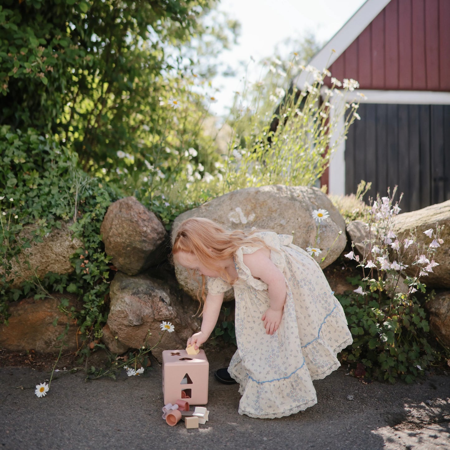 Shape Sorting Box - Petal