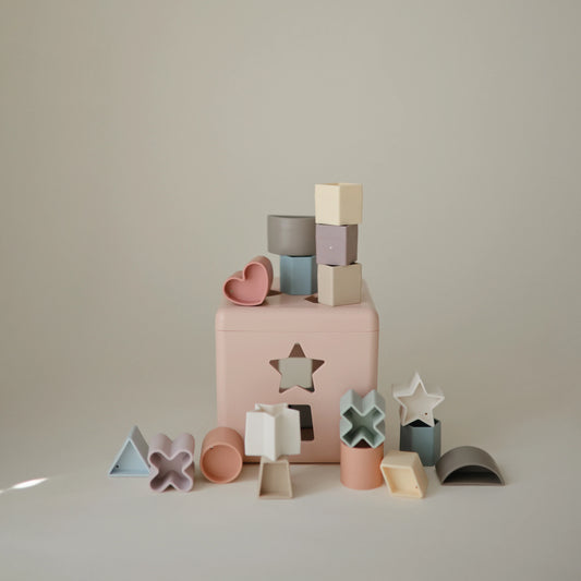 Shape Sorting Box - Petal